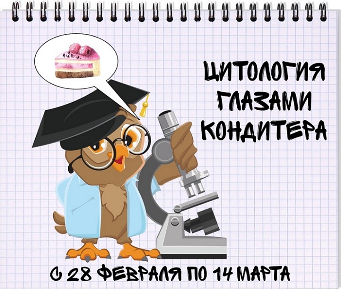 Цитология глазами кондитера.